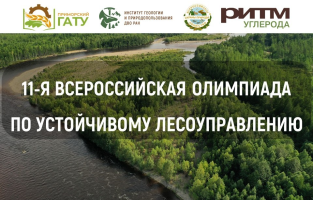 XI всероссийская олимпиада по устойчивому лесоуправлению